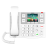 Fanvil X305 Big Button IP Phone