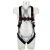 3M™ PROTECTA® E200 Standard Pass Through Fall Arrest Harness - Black